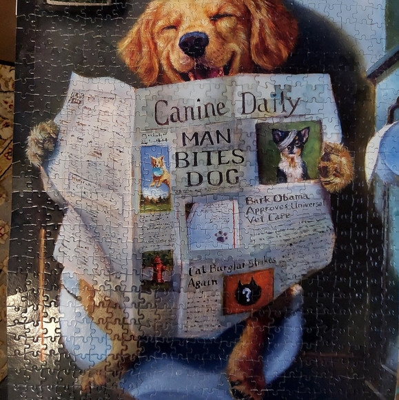 Meet your Posher, Sandra - Picture 4 of 4